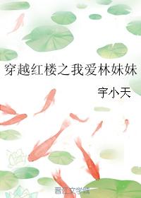 Through the Red Mansion: I Love Sister Lin