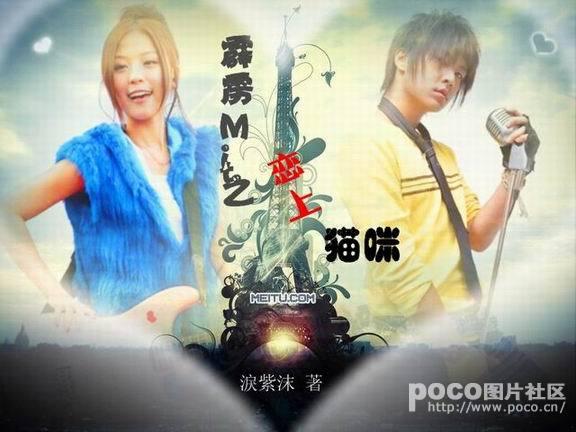 Thunder MIT's Love with Cats