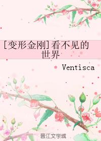 [Transformers] The invisible world