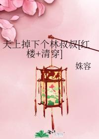 Uncle Lin fell from the sky [Red Mansion + Qing Chuan]