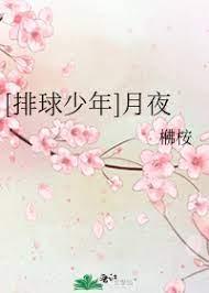 [Volleyball Boys] Moonlit Night