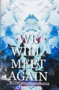 We Will Meet Again