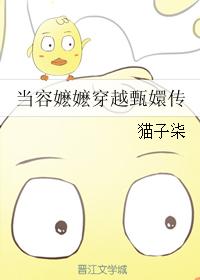 When Rong mama travels through Zhen Huan's biography