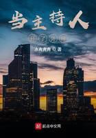 When the host opens the plug-in