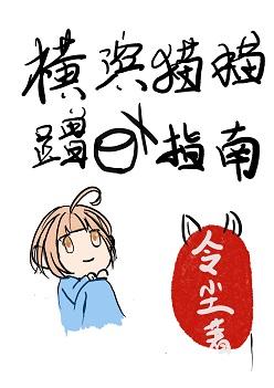 Yokohama Cat Cat Food Guide