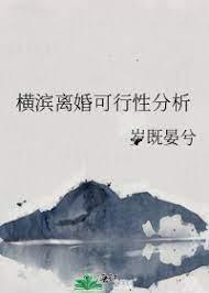 Yokohama Divorce Feasibility Analysis