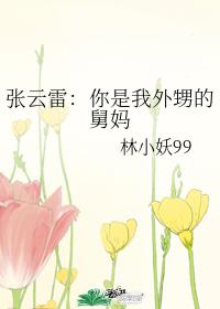 Zhang Yunlei: You are my nephew's aunt